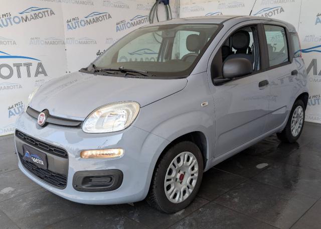 Fiat Panda Panda 1.2 Easy 69cv - Immagine 1