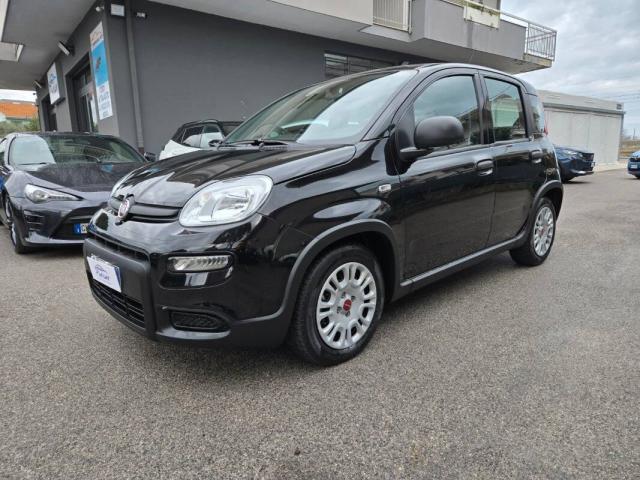 Fiat Panda Panda 1.0 firefly hybrid s&s 70cv - Immagine 1