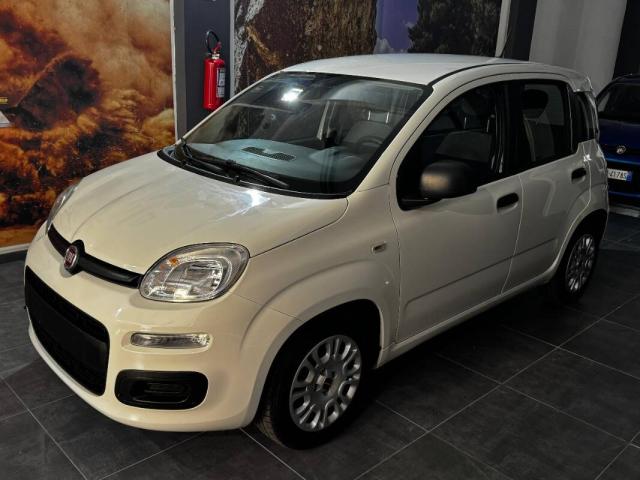 Fiat Panda III 1.0 firefly hybrid s&s 70cv 5p.ti - Immagine 1