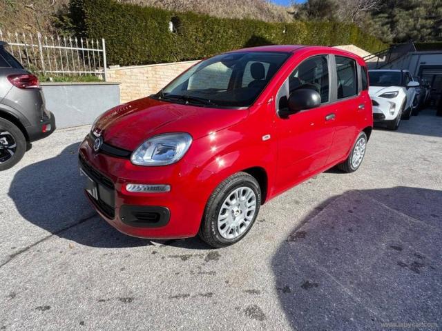 Fiat Pandina 1.0 firefly hybrid s&s 70cv 5p.ti - Immagine 1