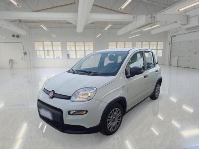 Fiat Panda Panda 1.0 firefly hybrid s&s 70cv 5p.ti - Immagine 1